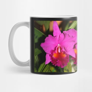 Bright Pink Orchids Mug